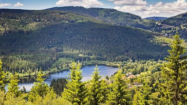 Panoramic view lake Schluchsee. Black Forest. Baden-wuerttemberg region. Germany.; Shutterstock ID 1031674954; Purchase Order: SP-1394 HA Batch 3 Part 1; Order Number: ; Client/Licensee: HomeAway; Oth
