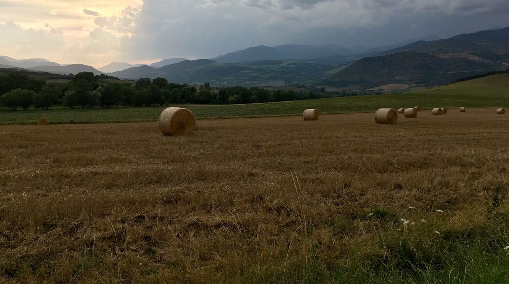 Bellver de Cerdanya