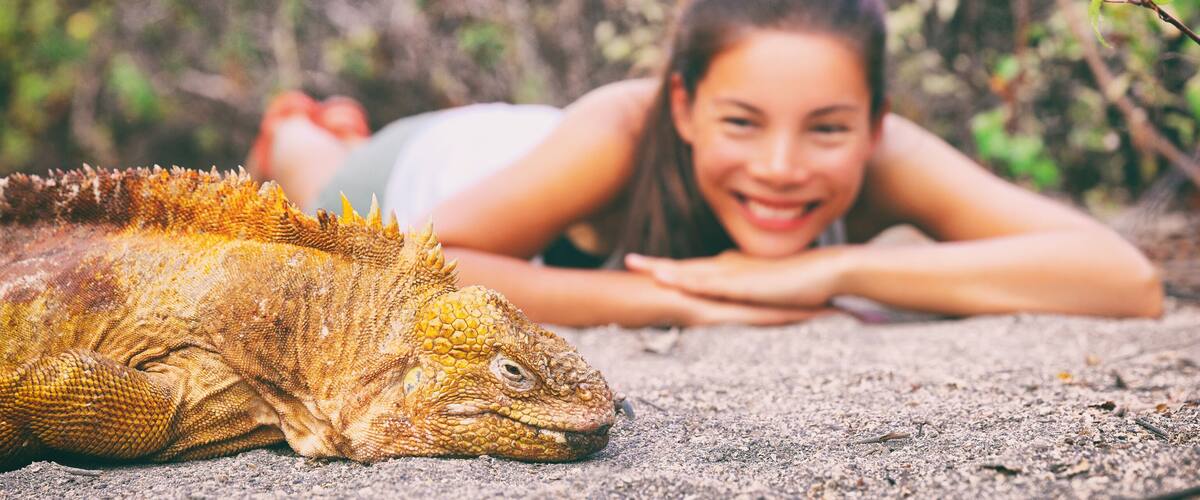 A large iguana on sandy ground with dense foliage in the background.