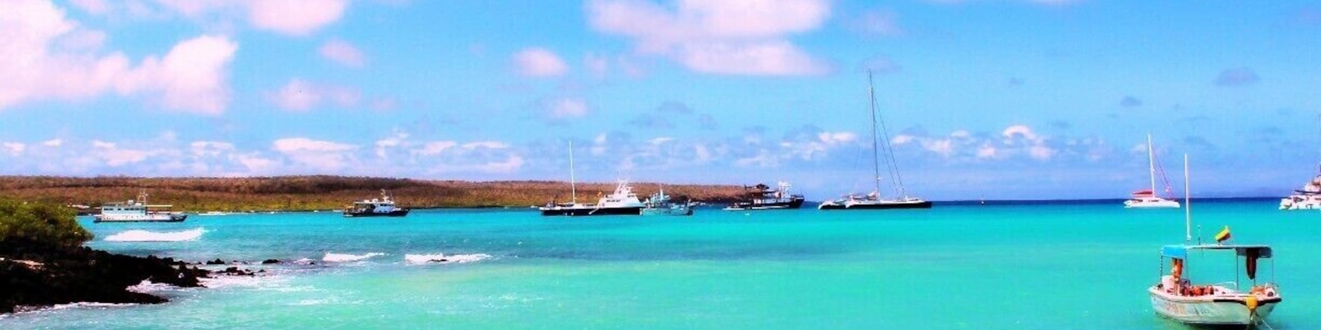 Snorkel at the docks and swim with sea lions, penguins, rays and other marine life