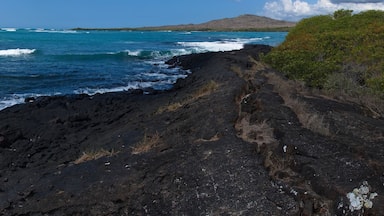 Lava Tunnel at Puerto Villamil on Isabela island of Galapagos islands, Ecuador, South America