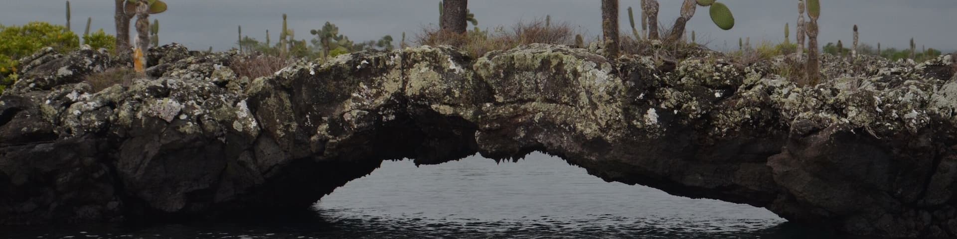 Los Tuneles is a day boat trip out of Puerto Villamil on Isla Isabela. We used Pahoehoe Tours and had an amazing excursion to the tunnels. This is a beautiful part of the Galapagos and it is part of the National Park System. There are so many natural lava tunnels above and below the water. This area is home to many giant sea turtles and sea horses. An amazing trip that you should not miss if you are in the Galapagos