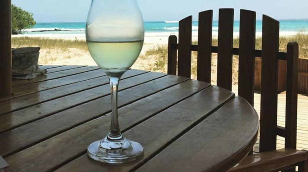 Cheers! Cooling off for lunch at Casa de Marita, Isabela.
#yolotravel #coupletravel #carpediem #beachlife #galapagosislands #galapagos #marquestra_inc
