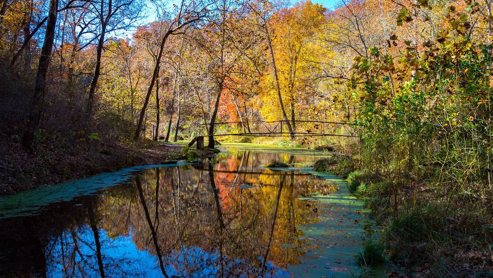 Old Bridge Over Water