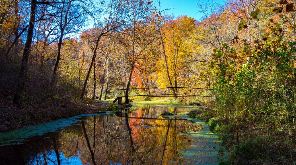 Old Bridge Over Water