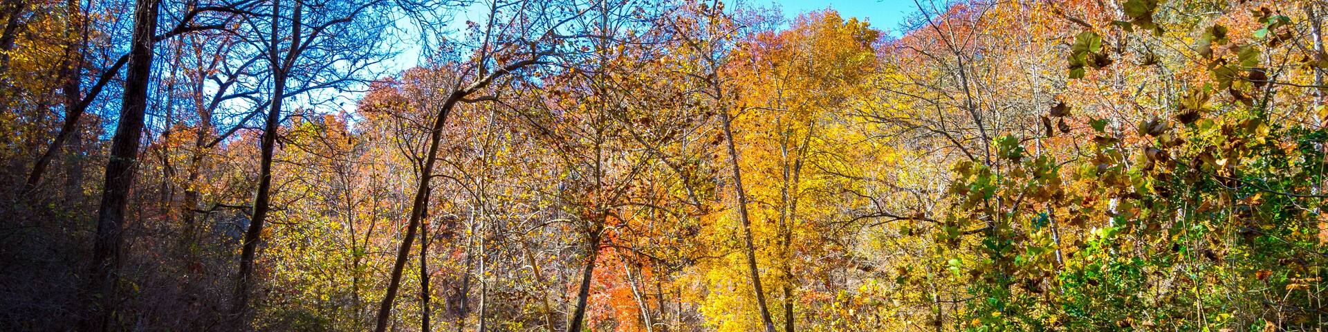 Old Bridge Over Water