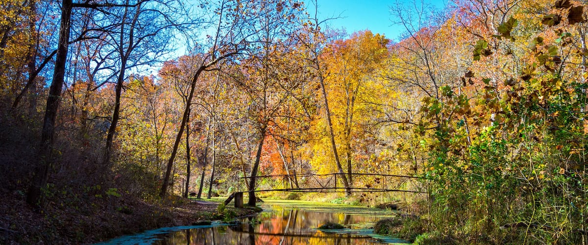 A calm river reflecting autumn trees, surrounded by dense foliage and a clear sky.