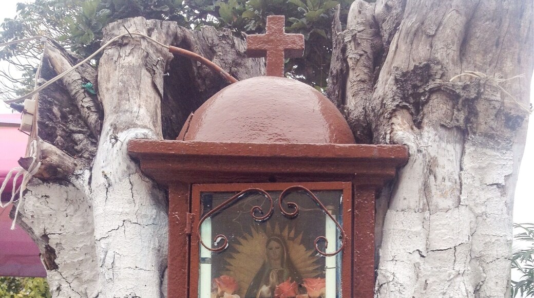 Virgin in a trunk
I created the Holy list to show the diversity of altars, thought it could be interesting. Mexico is a mainly Catholic country, and the majority is devoted to the Virgin of Guadalupe.
Find more in >> the HolyList
#outdoors #religion #devotion #tradition #travel #troveon #mexico #virgin #altar