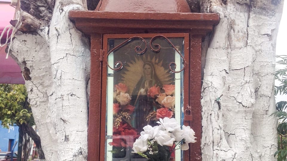 Virgin in a trunk
I created the Holy list to show the diversity of altars, thought it could be interesting. Mexico is a mainly Catholic country, and the majority is devoted to the Virgin of Guadalupe.
Find more in >> the HolyList
#outdoors #religion #devotion #tradition #travel #troveon #mexico #virgin #altar