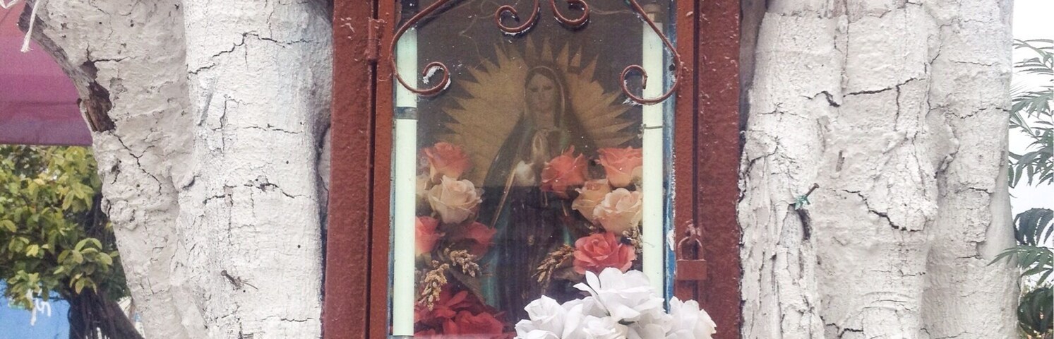 Virgin in a trunk
I created the Holy list to show the diversity of altars, thought it could be interesting. Mexico is a mainly Catholic country, and the majority is devoted to the Virgin of Guadalupe. 
Find more in >> the HolyList
#outdoors #religion #devotion #tradition #travel #troveon #mexico #virgin #altar