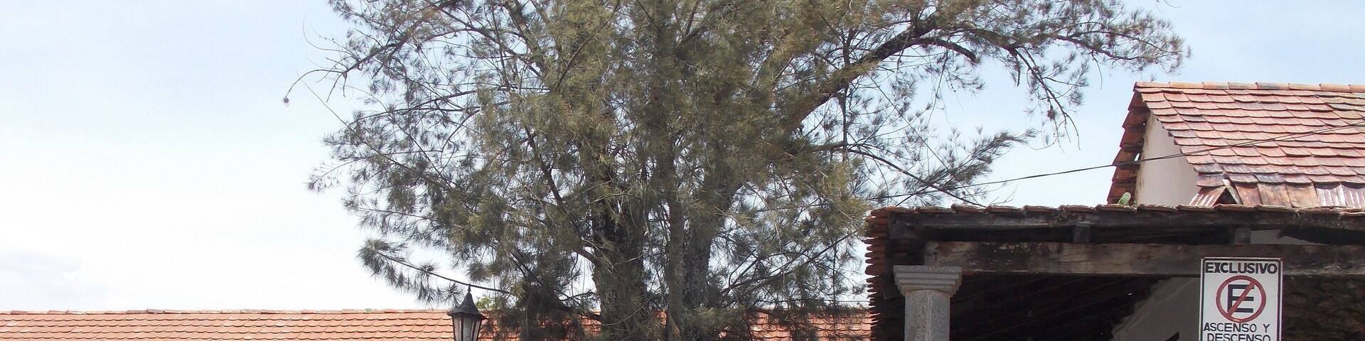 Una foto del centro de Huasca. Me faltaron fotos del templo, pues estaban en plena misa y me sentí mal al interrumpir.
