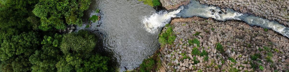 A river flowing through a canyon with dense green foliage on one side and rocky terrain on the other.