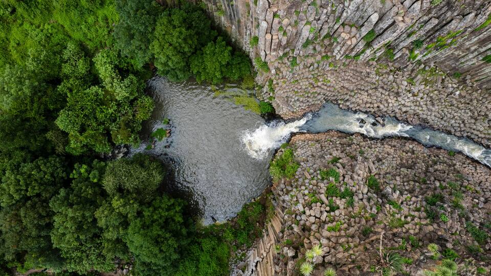 A river flowing through a canyon with dense green foliage on one side and rocky terrain on the other.
