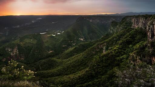 瓦斯卡德奧坎波