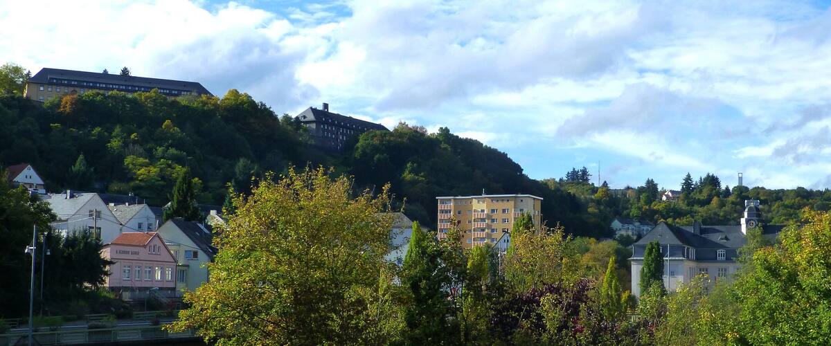 A town with buildings on a hillside, a prominent clock tower, and lush greenery.