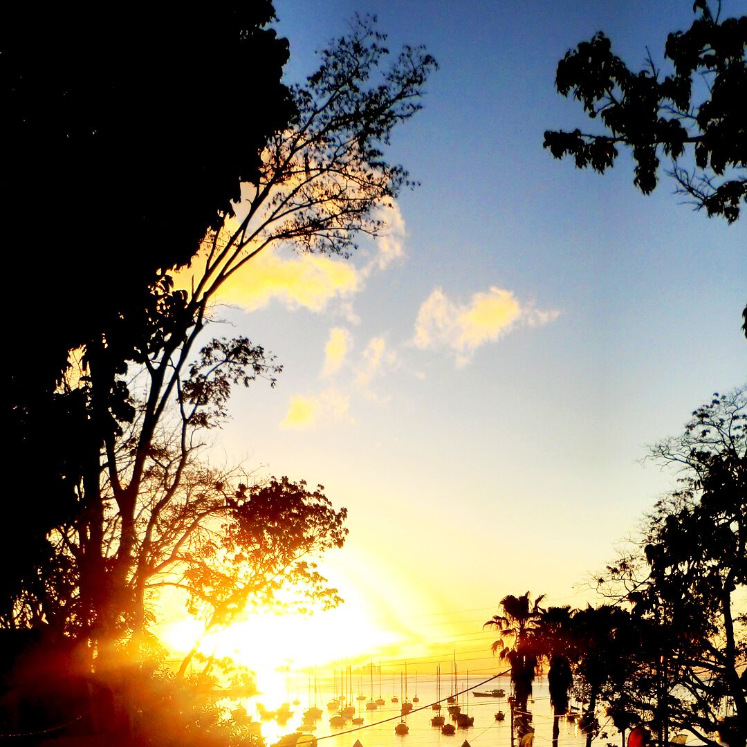 This photo was taken from O2 Park in Chaguaramas, Trinidad and Tobago.

The golden rays of the rising sun signifies the dawn of a new day. As we look out at the sea we enjoy the boats rocking to and fro in harmony and we are reminded that life can be so beautiful and that we should cherish each and every day. We must also remember that every new day we are given an opportunity to do better and make the world a better place.

Follow our adventures @ http://travelwith2ofus.com/

#itsDCaribbean #teamtravelwith2ofus #beach #Chaguaramas #TrinidadandTobago #travel #traveling #travelphotography #view #photography #photo #travelphoto #landscape #seaview #sunrise #horizon #Caribbean #exploremore #Springfun #Ocean #sea #boats #marina