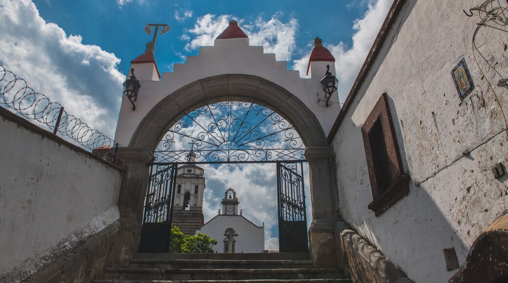 زينابيكارو