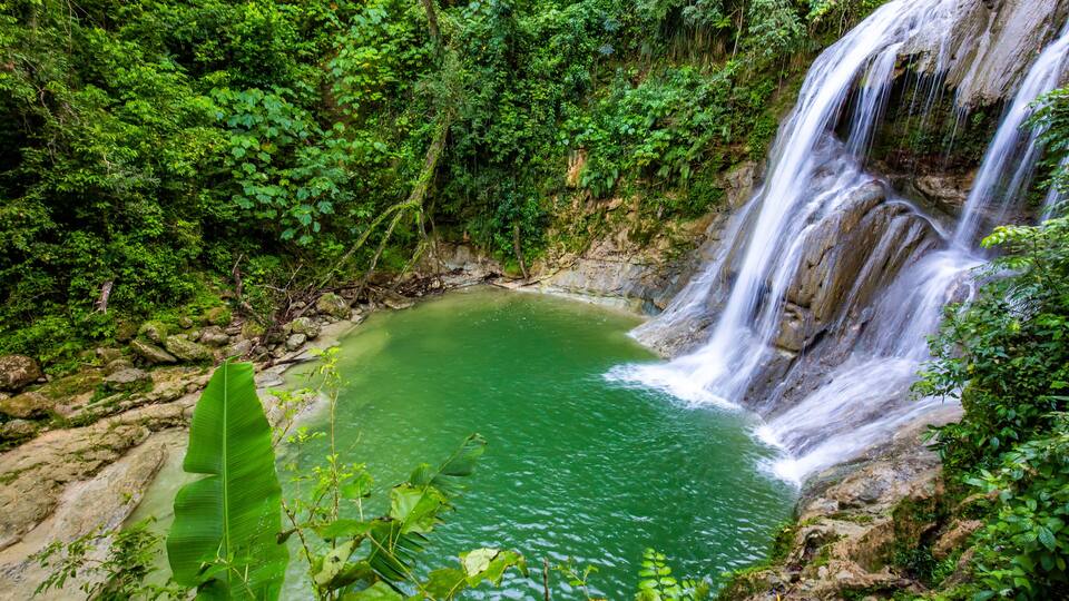 A waterfall cascading into a clear green pool surrounded by dense forest.