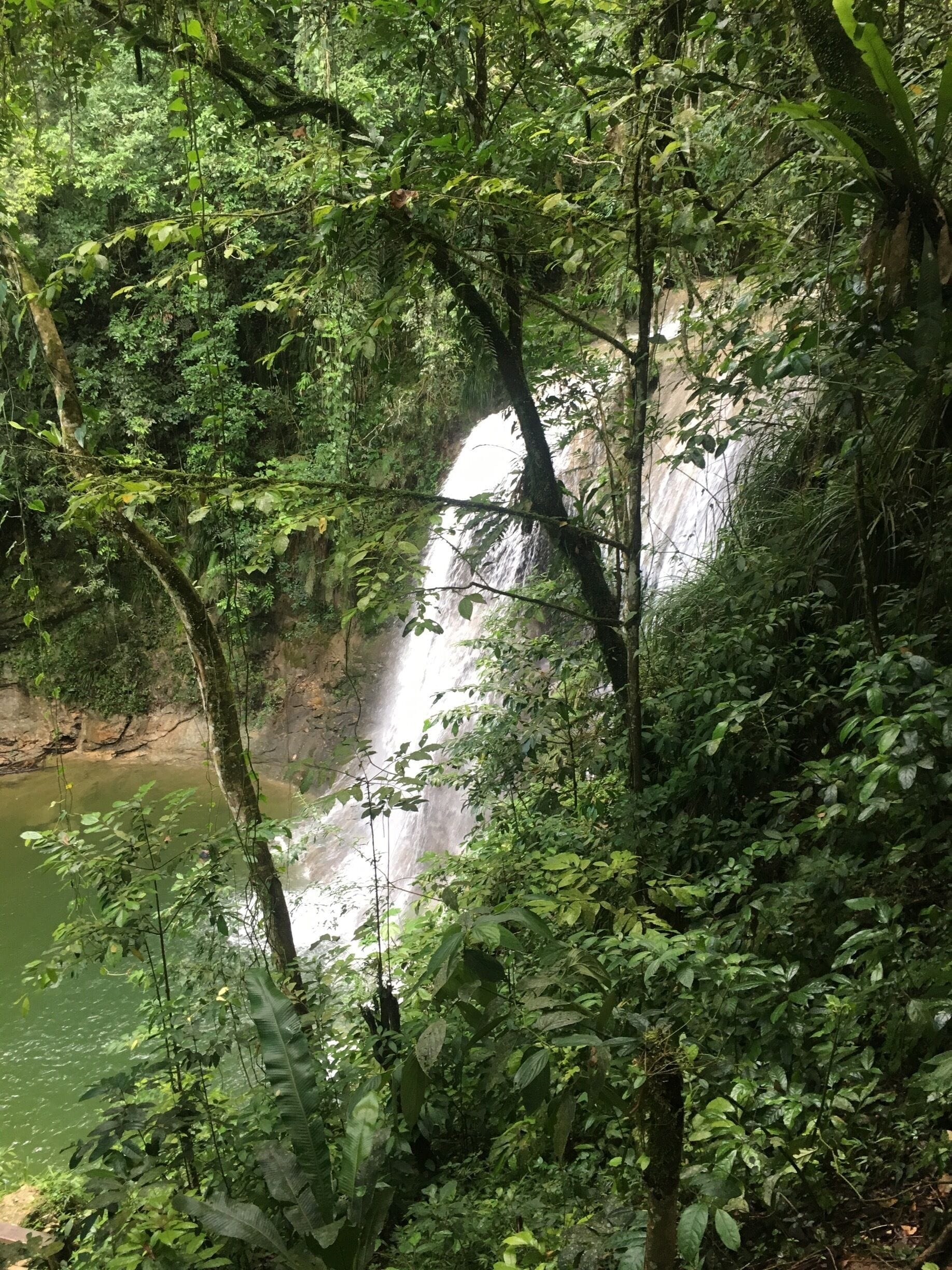 A waterfall cascading down a rocky cliff surrounded by dense green foliage.