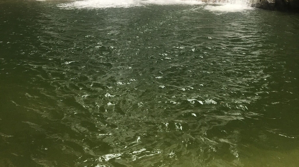 Beautiful place for swimming