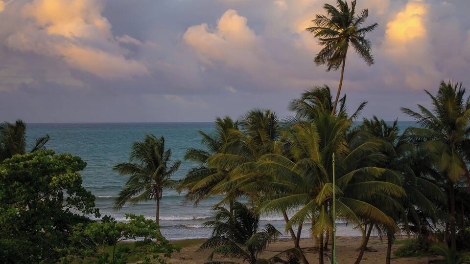 #BeachBound #puertorico #green