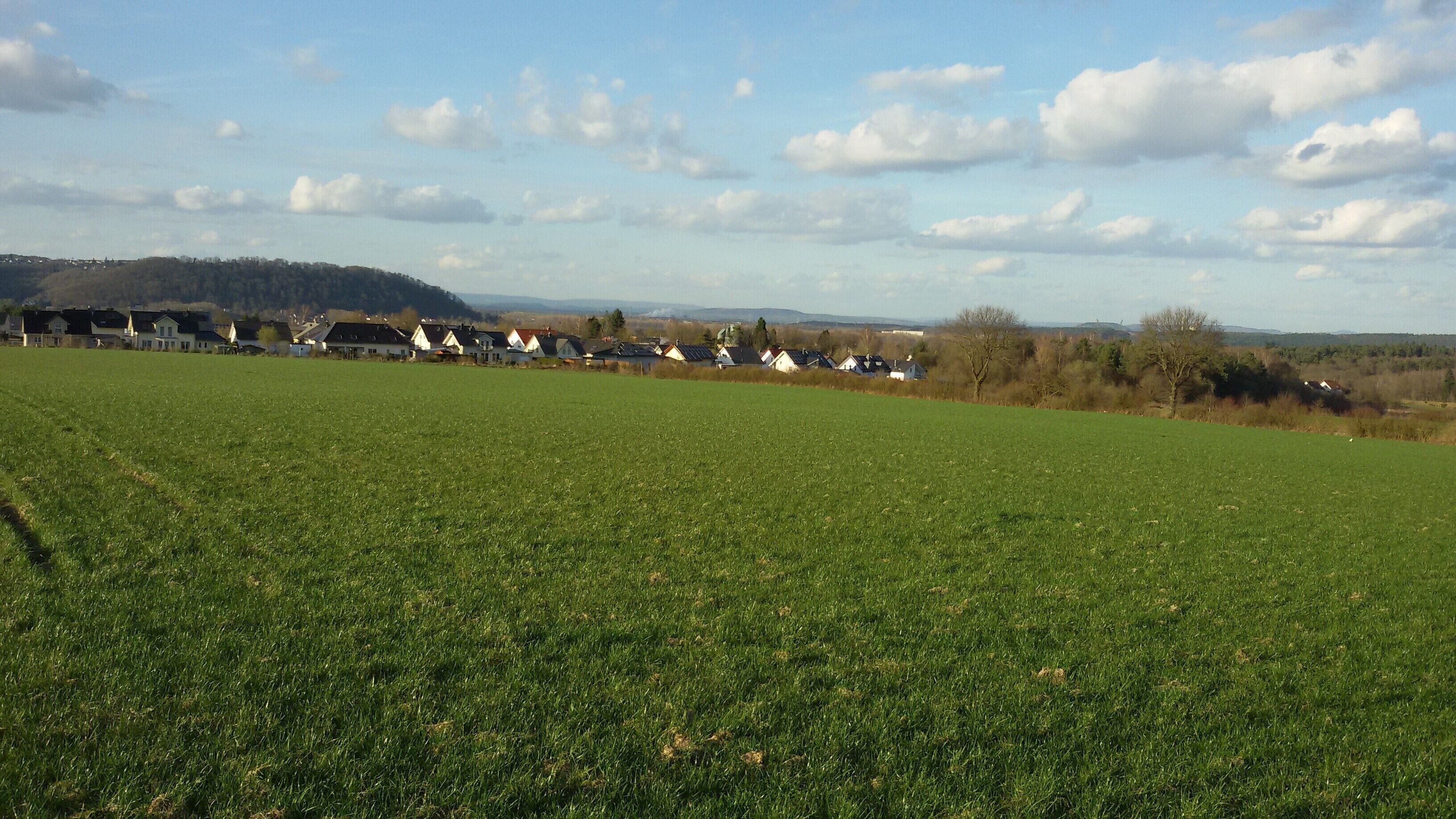 Wohnstadt mit Berus im Hintergrund März 2015