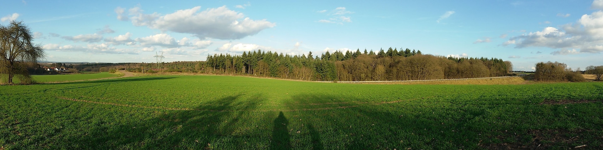 Blick zum Überherrner Wald