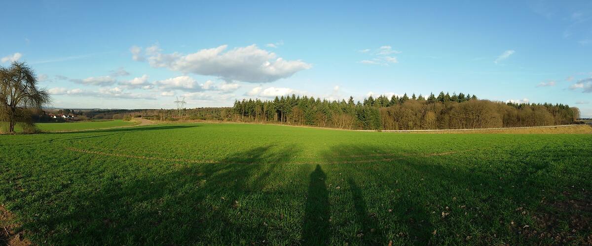 A green field with a forest in the background and a power line tower.