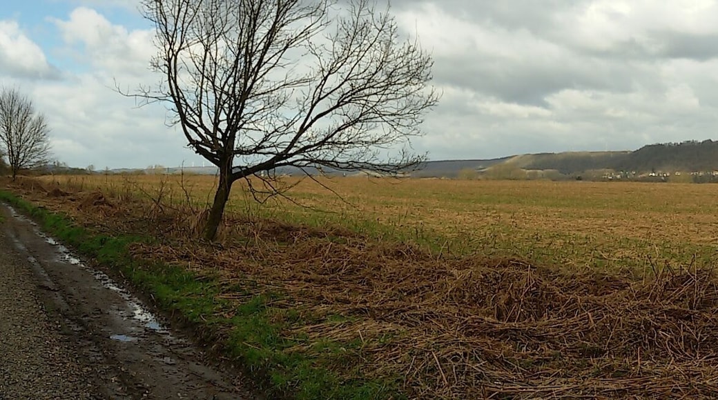 Blick nach Berus April 2015