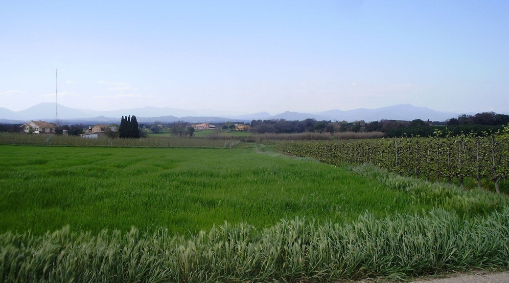 Paisatge del tram de carril bici Girona-Cassà de la Selva