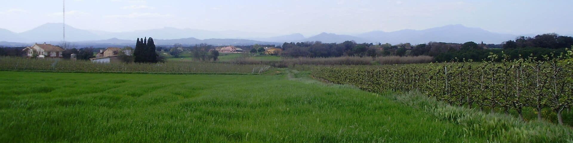 Paisatge del tram de carril bici Girona-Cassà de la Selva