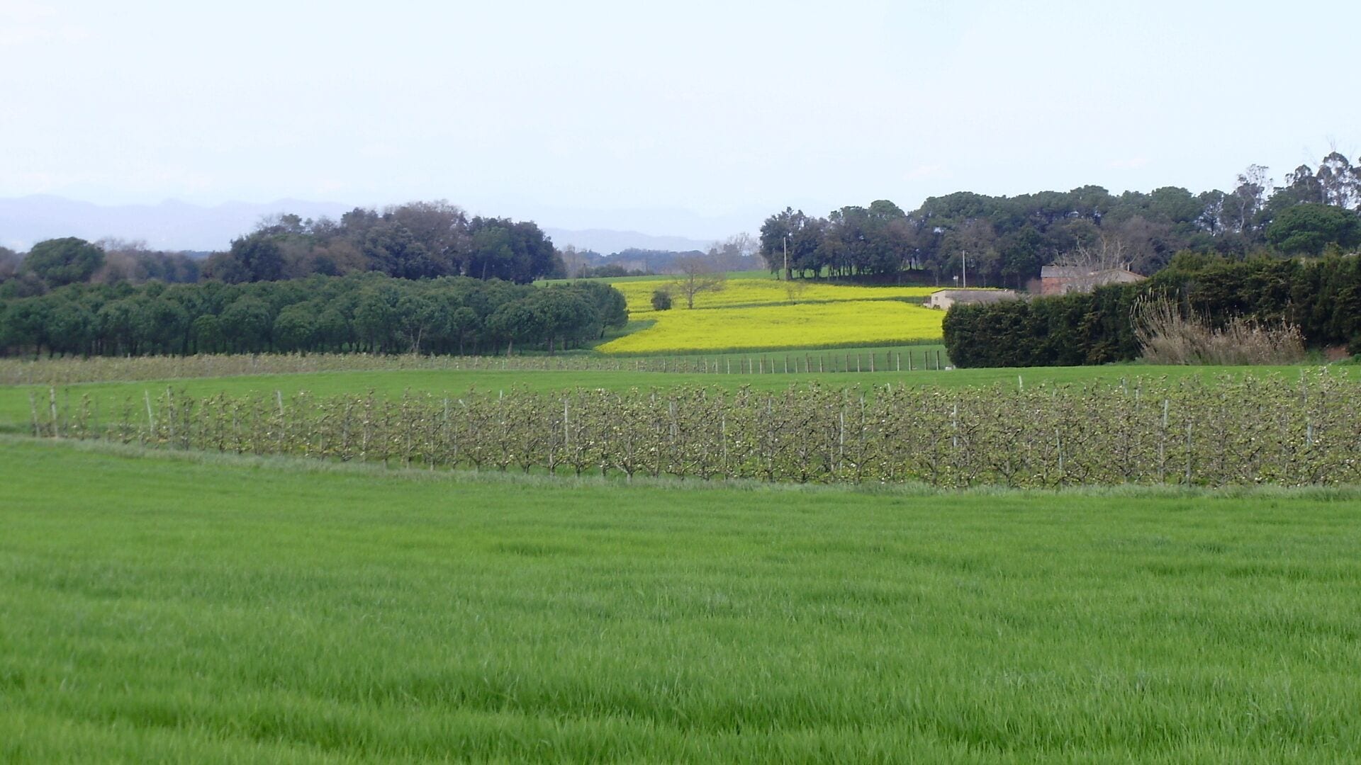 Paisatge del tram de Girona a Cassà de la Selva (Carril bici Girona-St Feliu de Guíxols)