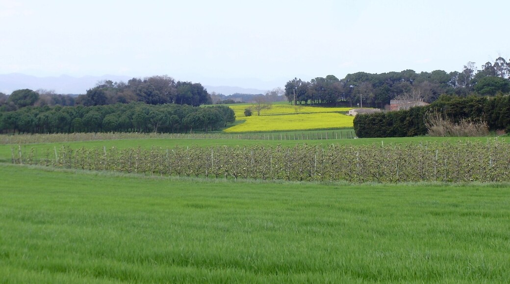 Paisatge del tram de Girona a CassĂ de la Selva (Carril bici Girona-St Feliu de GuĂxols)