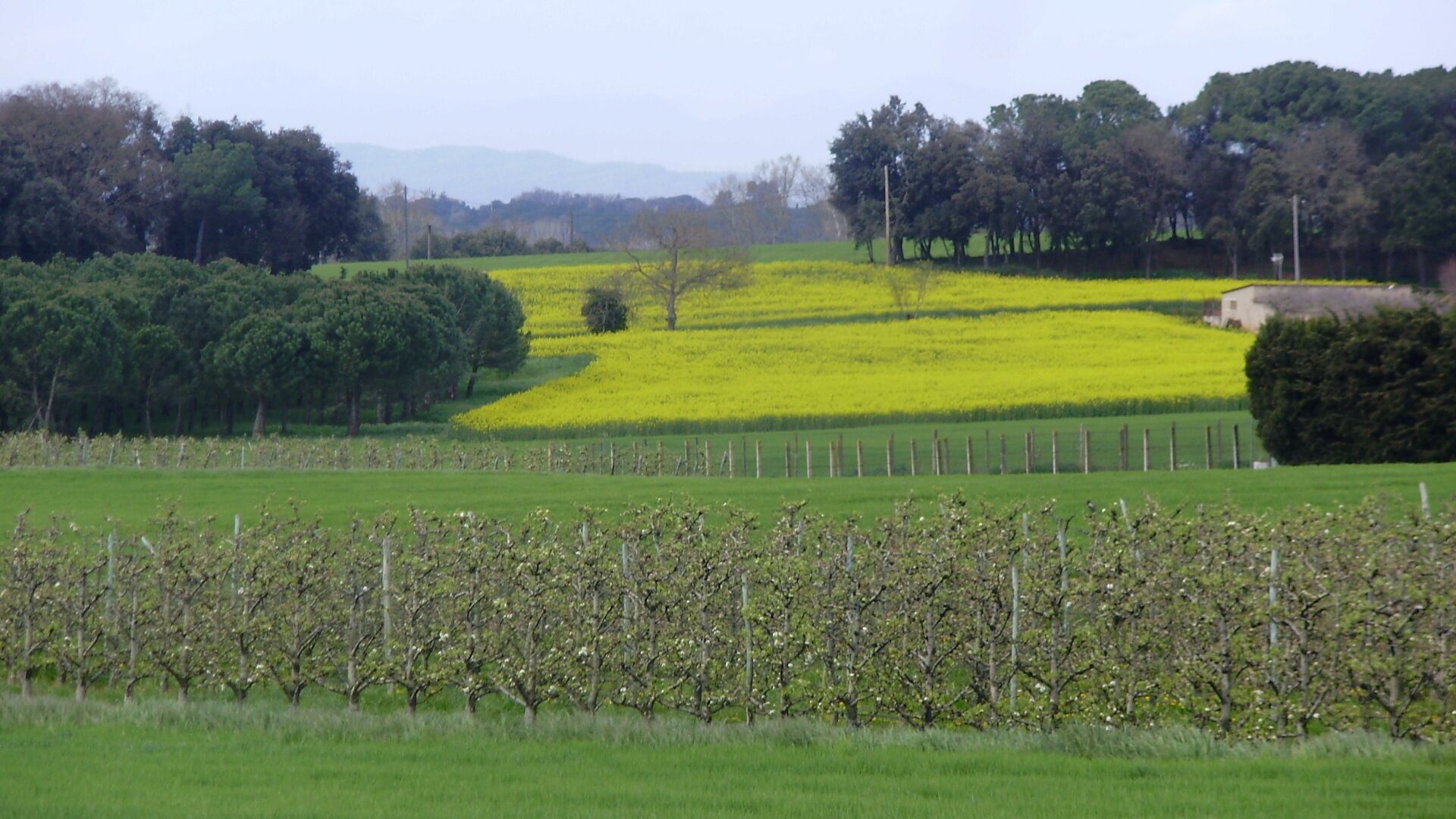 Paisatge del tram de Girona a Cassà de la Selva (Carril bici Girona-St Feliu de Guíxols)