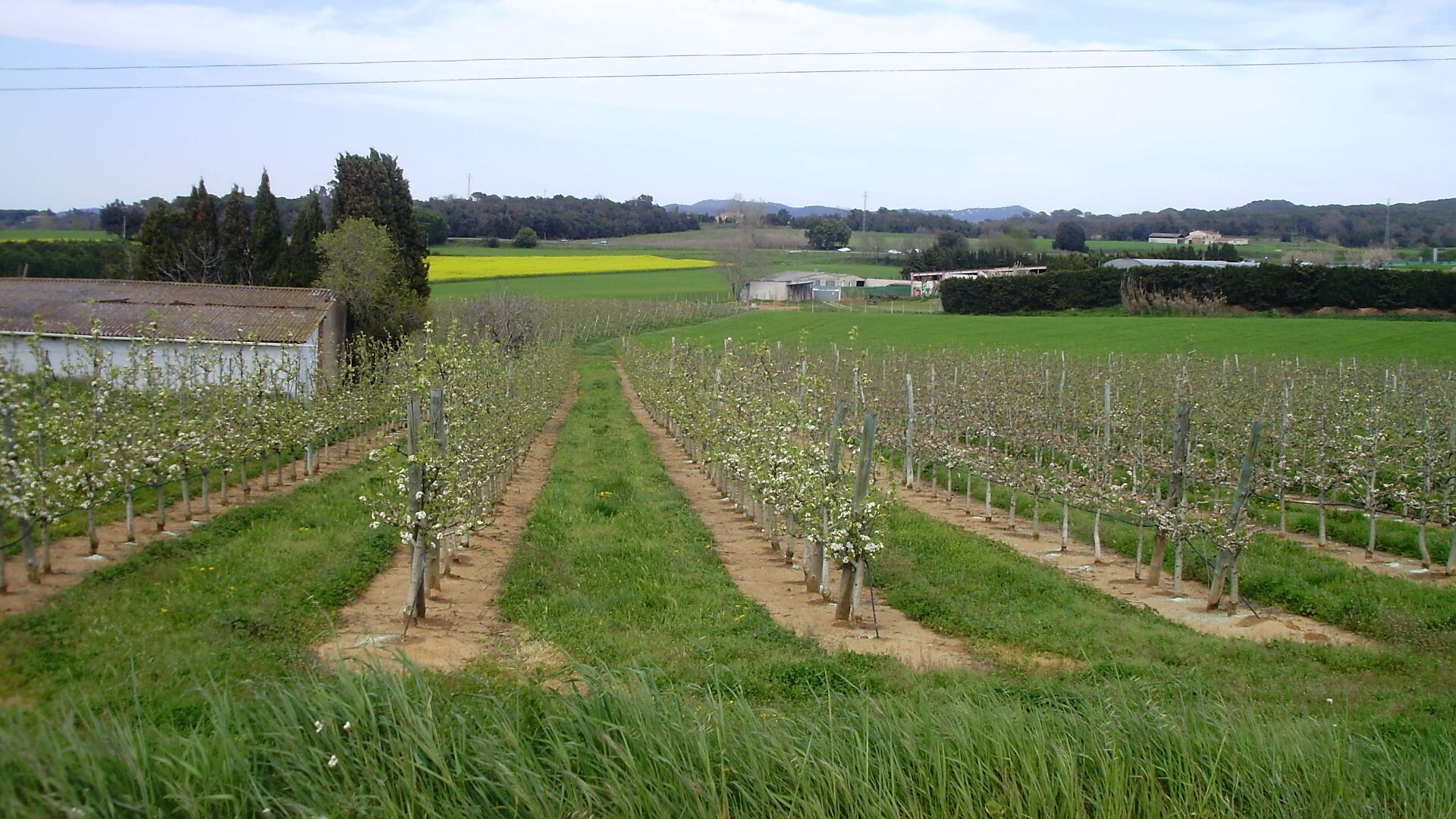 camps (Carril bici Girona a St Feliu de Guíxols)-Tram Cassà de la Selva
