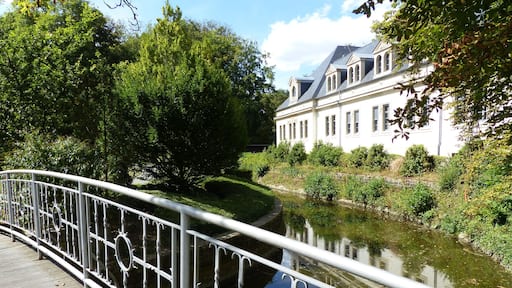 モンドルフ レ バン