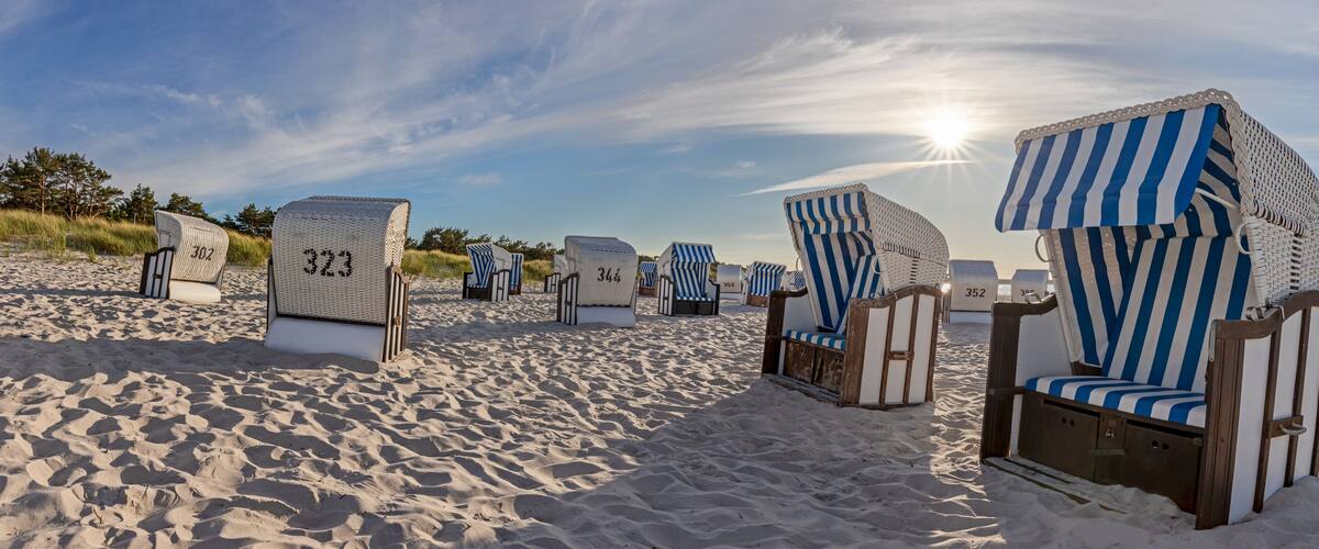 Beach chairs with numbers, a sandy beach, and the ocean.