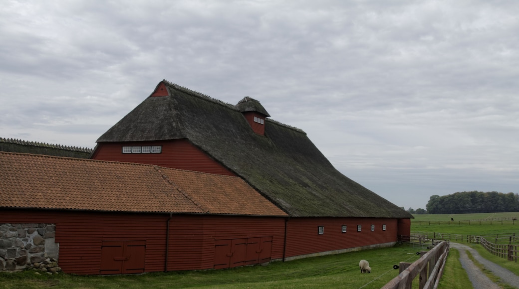 Kappeln-Roest, Gut Roest Gutsscheune