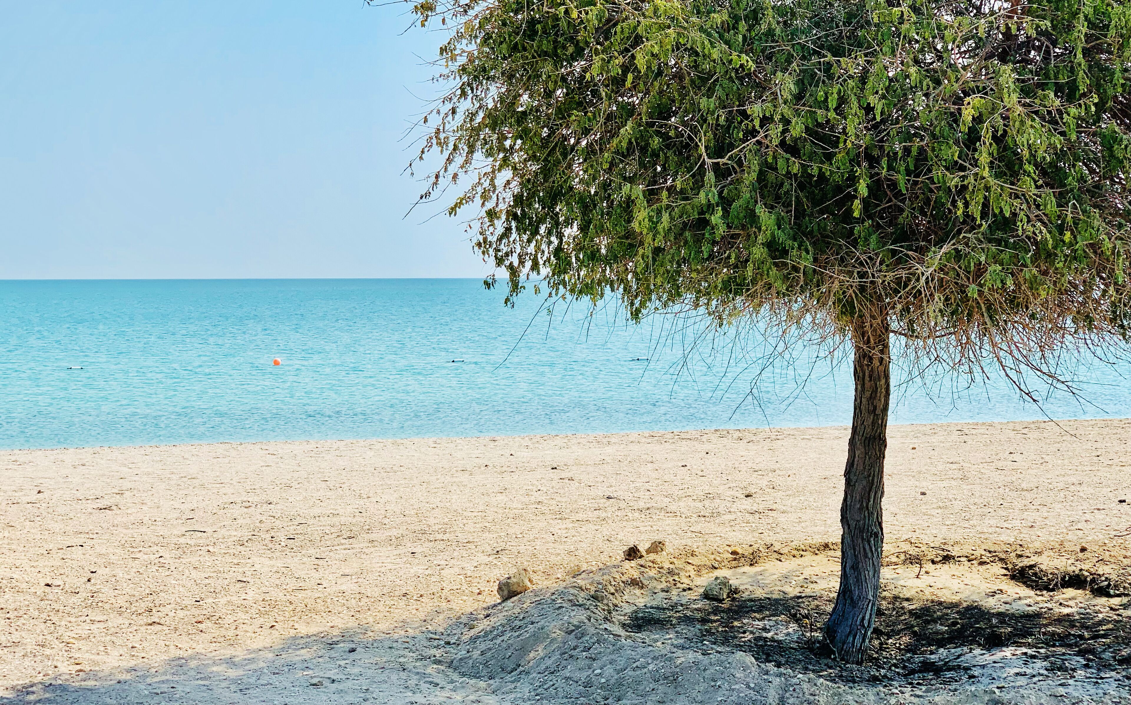 Sir Bani Yas, Island in the United Arab Emirates