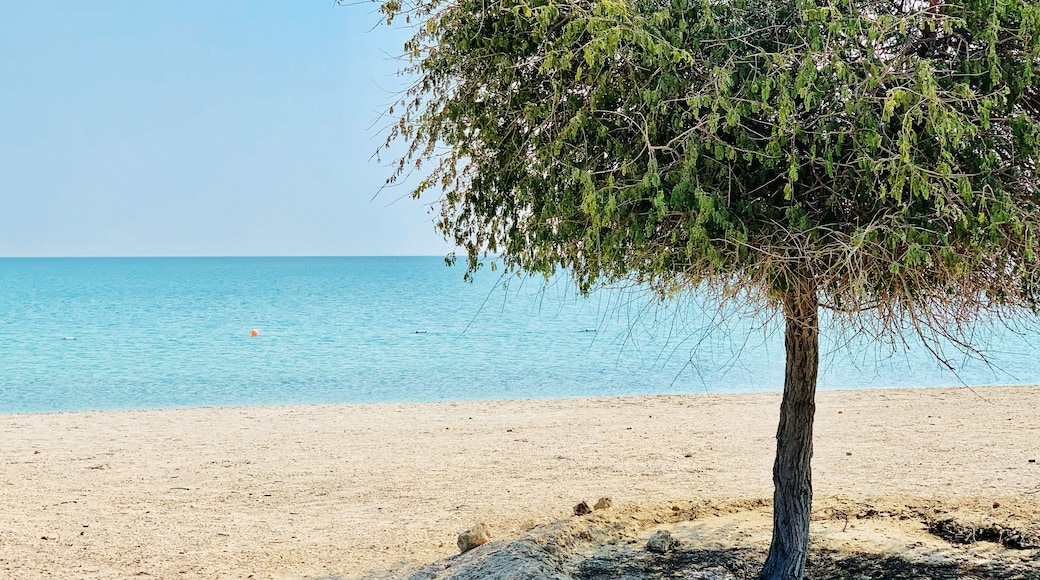 Sir Bani Yas, Island in the United Arab Emirates