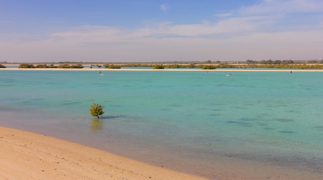 Île de Sir Bani Yas