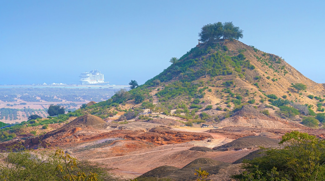 Sir Bani Yas Island, United Arab Emirates - Jan 18 2024, aerial panoramic view of tree-covered mountain, in background, the MSC Virtuosa cruise ship is moored near the beach, Sir Bani Yas Island, UAE