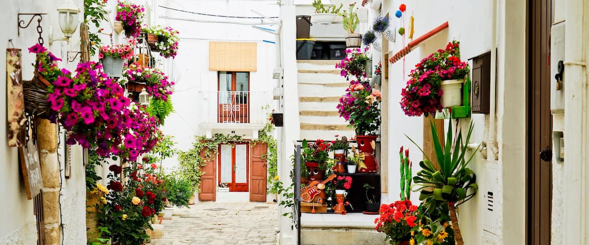 A narrow cobblestone street flanked by white buildings with colorful hanging flowers and potted plants.