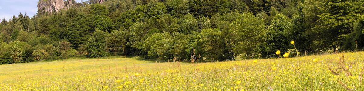Blick zu den Bruchhauser Steinen, Olsberg, Hochsauerlandkreis, Nordrhein-Westfalen