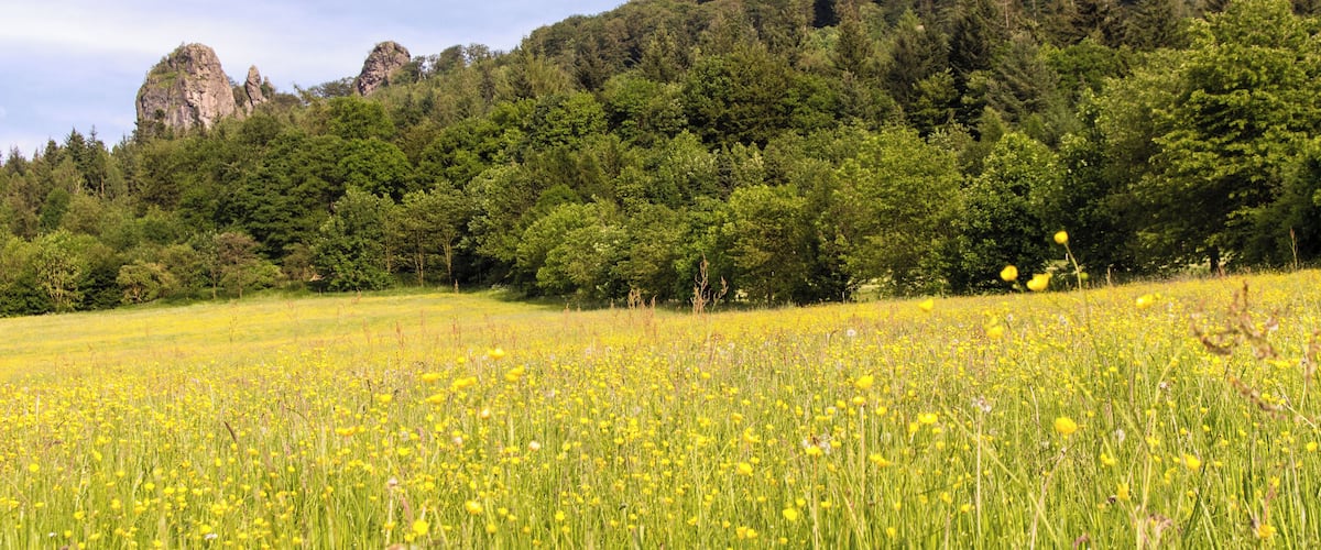 Blick zu den Bruchhauser Steinen, Olsberg, Hochsauerlandkreis, Nordrhein-Westfalen
