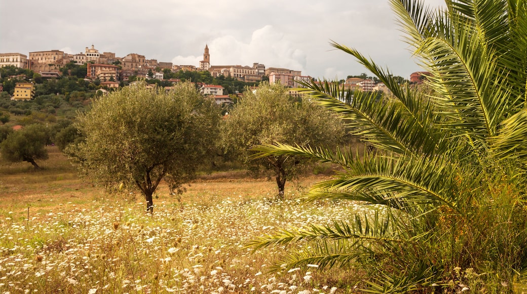 cityscape of Città Sant'Angelo in Italy, Abruzzo district