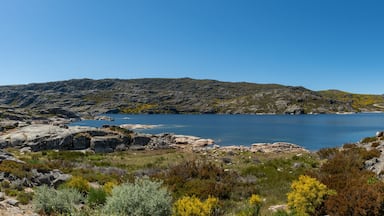 Lagoa Comprida on Serra da Estrela Natural park, Portugal