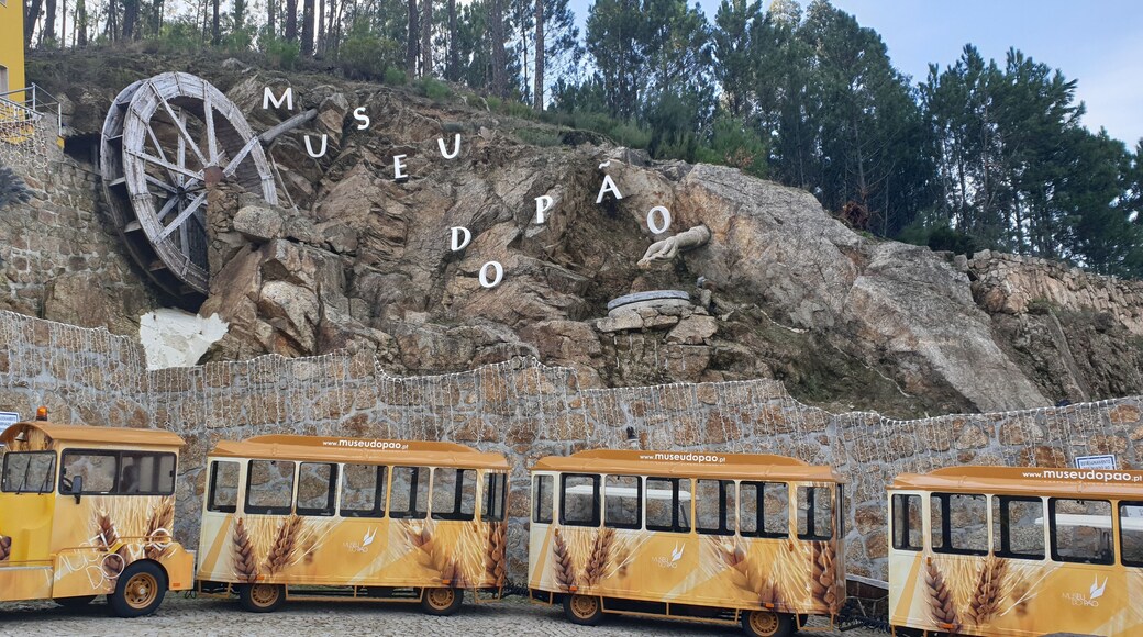 Quick tour, and check sooo many types of bread they have!!