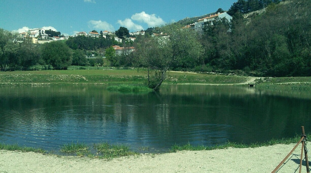 #TroveOn
Quinta do Crestelo is integrated in a farm of 22 acres in a verdant valley in the foothills of the Serra da Estrela (North Side). An area with a history full of tradition, authenticity and with a variety of native fauna and flora.