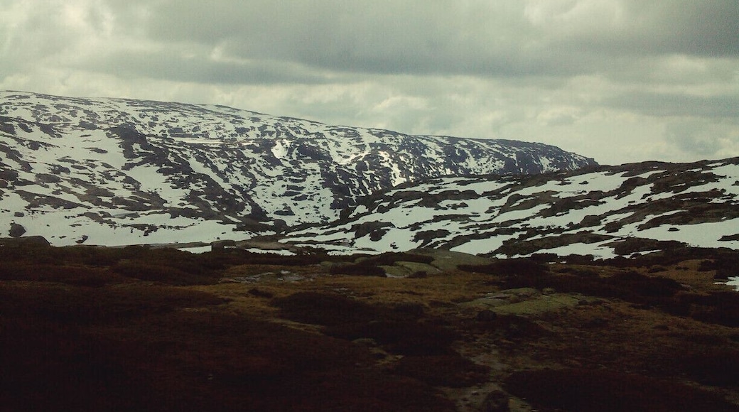 #TroveOn
Serra da Estrela is the name given to the mountain range with the highest altitudes of #Portugal (the second highest mountain in Portugal). The Serra da Estrela is a zone of integrated landscape in the Serra da Estrela Natural Park, the largest protected area in Portuguese soil.
Besides the snow, the extraordinary flora and fauna, the traveler is also attracted by the topography of colossal proportions, as well as the human, cultural, historic and gastronomic richness of the region.
#SerraEstrela #NaturalPark #snow #mountain
